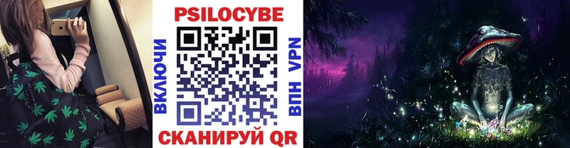купить   mega вход  Галлюциногенные грибы Psilocybe  Ленинск-Кузнецкий 